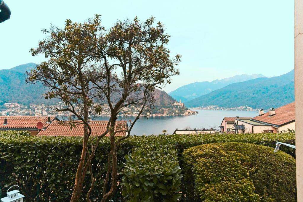 Miralago Lugano Sporting Club Apartman Cuasso Al Monte Kültér fotó
